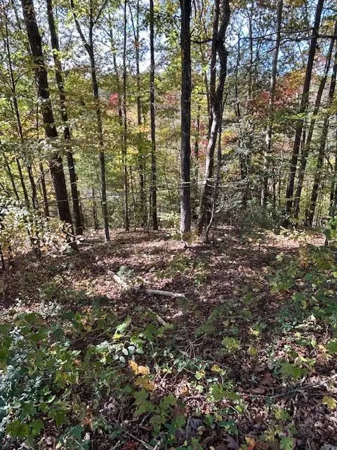 219 Womble Rd, Farner, TN 37333 photo 25