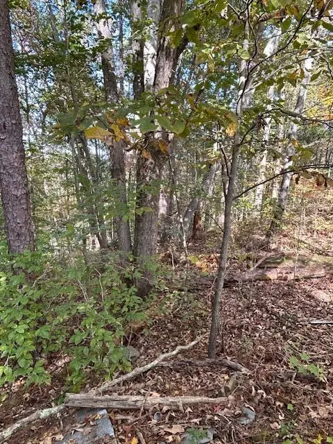 219 Womble Rd, Farner, TN 37333 photo 23