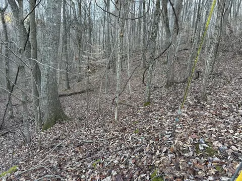 83 Stone Ridge Rd, Pikeville, TN 37367