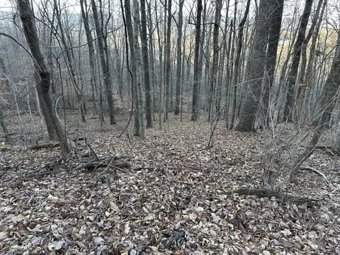 lot76 Fox Rdg, Pikeville, TN 37367