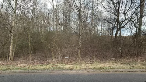 1918 Hammerhill Rd, Athens, TN 37303