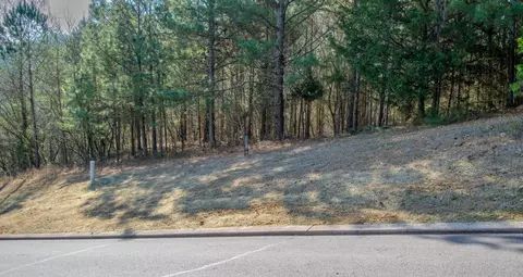 Other - 109 Cherokee Ridge Dr, Ocoee, TN 37361 photo 8 of 9
