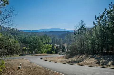 Other - 109 Cherokee Ridge Dr, Ocoee, TN 37361 photo 7 of 9
