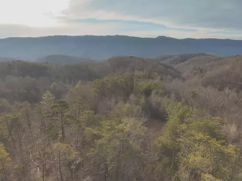 1133 Macedonia Martin Gap Rd, Englewood, TN 37329
