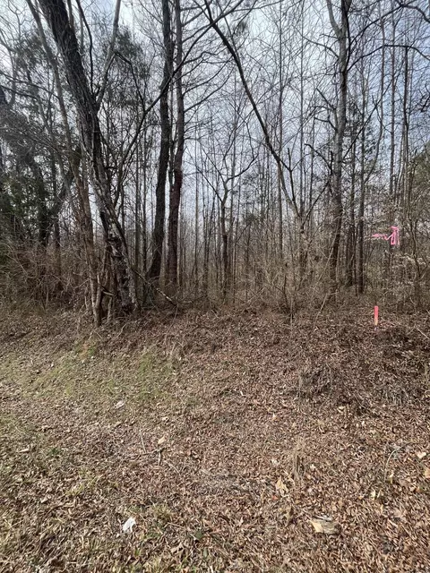 lot7 Tennessee 304, Decatur, TN 37322
