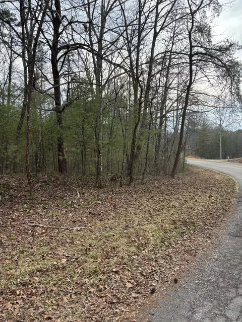 0 Maple Springs Rd, Tellico Plains, TN 37385