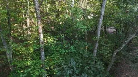 000 Lower River Rd NW, Georgetown, TN 37336