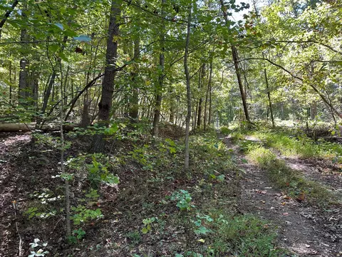 lot412 Smith Rd, Spring City, TN 37381
