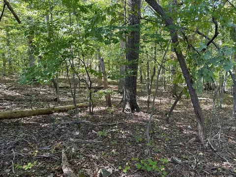 lot411 Smith Rd, Spring City, TN 37381