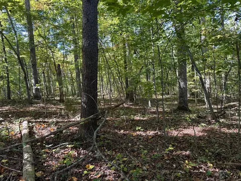 lot351 354 Diana Dr, Spring City, TN 37381