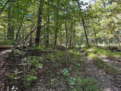 lot354 Diana Dr, Spring City, TN 37381