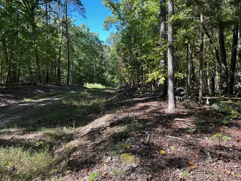 lot353 Diana Dr, Spring City, TN 37381