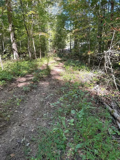 lot351 Diana Dr, Spring City, TN 37381