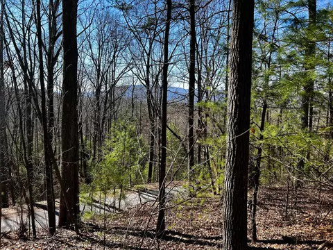 107125 Chestnut Mountain Rd, Reliance, TN 37369