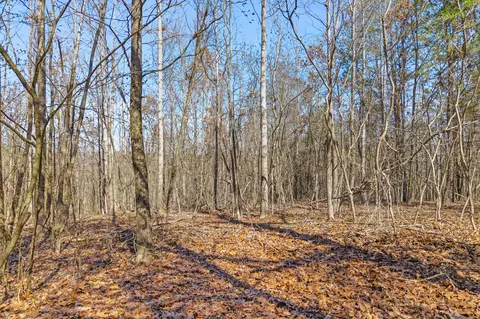 0 Ware Farms Rd, Spring City, TN 37381