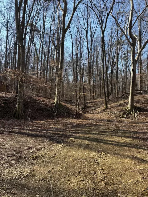 0 Johnson Rd Se Rd SE, Cleveland, TN 37323