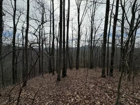 0 Grouse Ridge Rd, Harriman, TN 37748