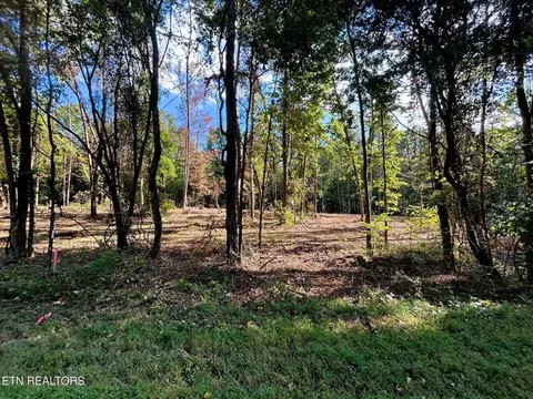 5 5 Acres Pleasant Hill Rd, Ten Mile, TN 37880