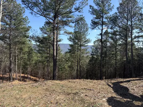 00 County Road 609, Etowah, TN 37331