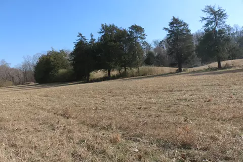lot3 Highway 39, Athens, TN 37303