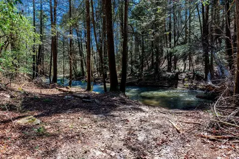 140 Luna Ln, Spring City, TN 37381