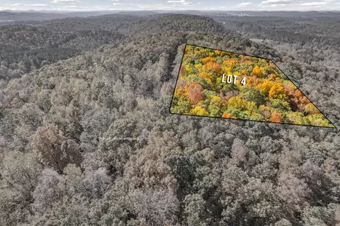 lot4 County Road 29, Riceville, TN 37370