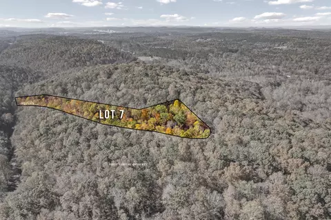 lot7 County Road 29, Riceville, TN 37370