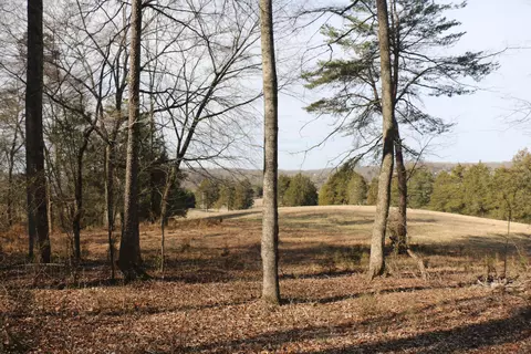 lot2 Highway 39w, Athens, TN 37303