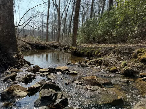 1065 Deerhead Rd, Dunlap, TN 37327