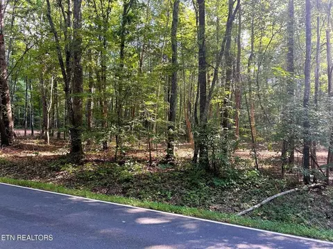 Tract 5 Pleasant Hill Rd Road, Ten Mile, TN 37880