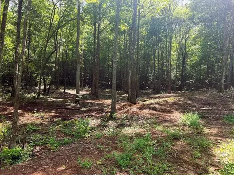 Tract 8 Pleasant Hill Road, Ten Mile, TN 37880