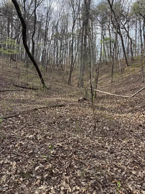 408 Back Valley Rd, Sale Creek, TN 37373