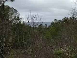 851 Stansbury Mountain Rd, Copperhill, TN 37317