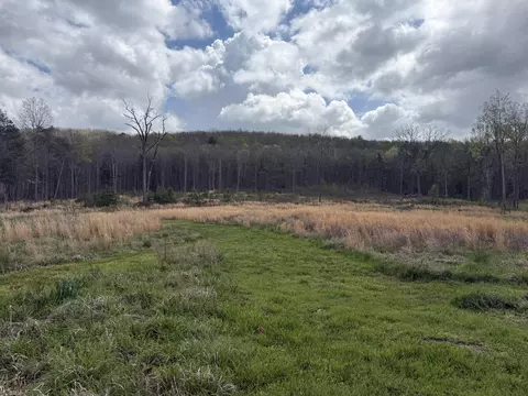 5 Acres Calico Rd, Decatur, TN 37322