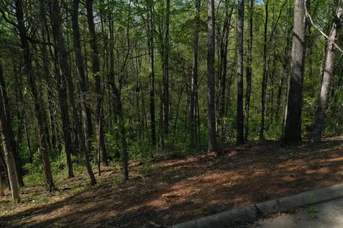 00 Elm Lane Lot 16 Ln, Sweetwater, TN 37874