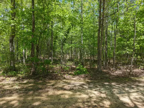 00 Jim Black Dr, Old Fort, TN 37362