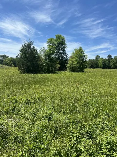 0 County Road 545, Englewood, TN 37329