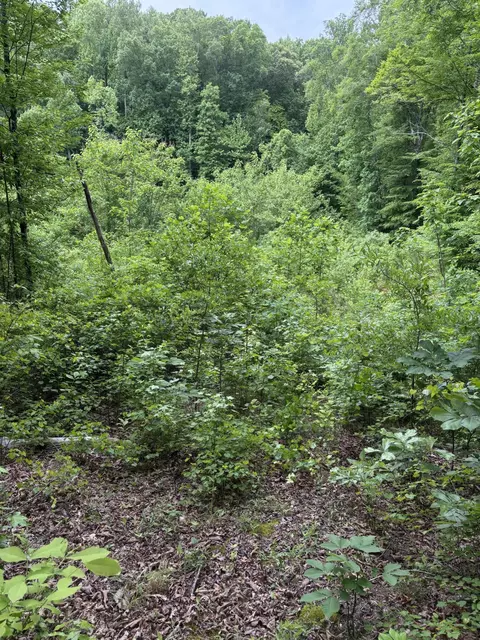 225 Hollow Rd, Whitwell, TN 37397