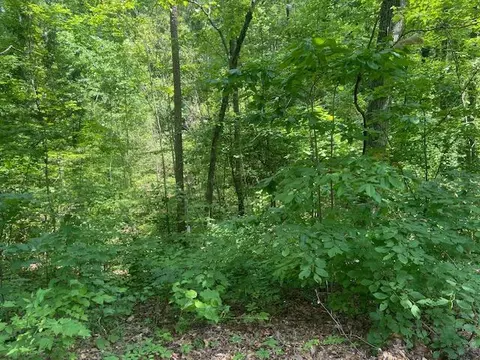 Exterior - 102 Lexie Ln, Ocoee, TN 37361 photo 13 of 15