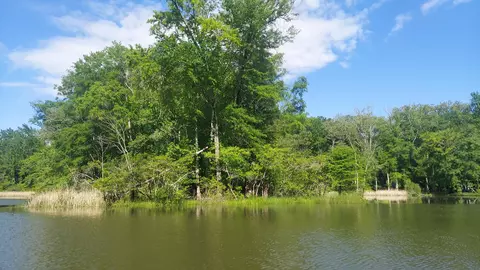 lot4 5 Warren Ln, Decatur, TN 37322