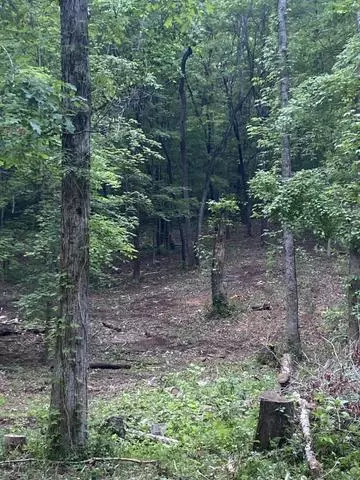 296 County Road 263, Niota, TN 37826