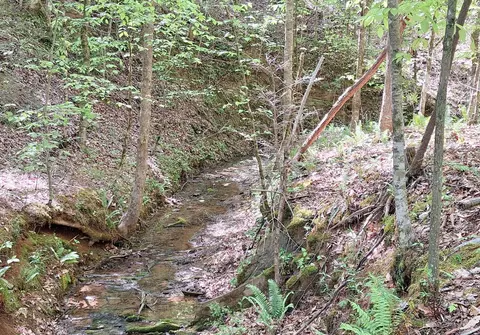374 Payne Rd, Tellico Plains, TN 37385
