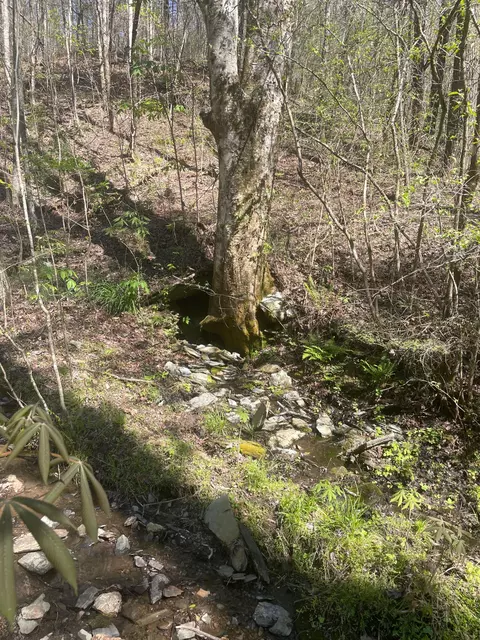 lot1 Old Furnace Rd, Tellico Plains, TN 37385