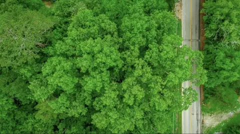 7441 Short Tail Springs Rd, Harrison, TN 37341