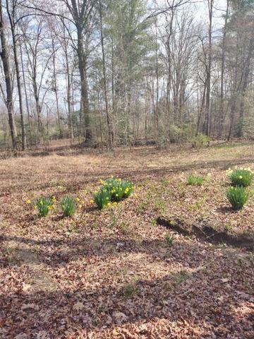 465 Huse Watson Rd, Oakdale, TN 37829