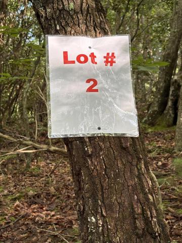 lot2 Old Furnace Rd, Tellico Plains, TN 37385