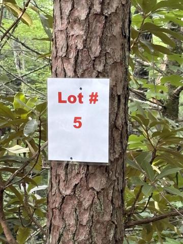 lot5 Old Furnace Rd, Tellico Plains, TN 37385