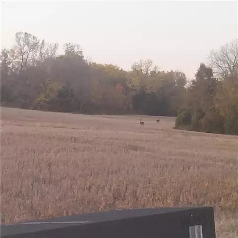 4- E Acres E 315th St, Drexel, MO 64742