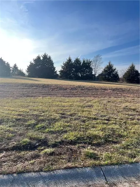 908 Captain Merriman, Freeman, MO 64746 photo 3