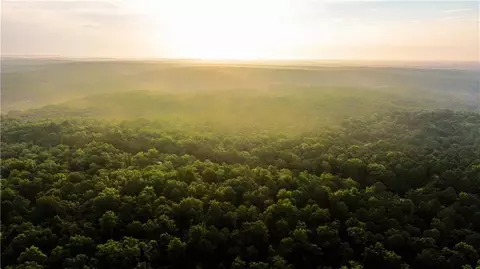 County Road Y-617, Birch Tree, MO 65438